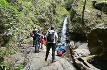 Hiking Adventure to Mt. Mitake, escaping from the Heart of Tokyo