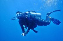 Full Day Dolphins Watching with Snorkeling in Wasini 