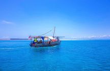 Full Day Dolphins Watching with Snorkeling in Wasini