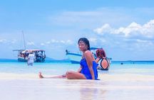 Full Day Dolphins Watching with Snorkeling in Wasini