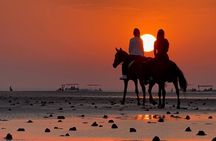 Horseback Riding Muscat Beach