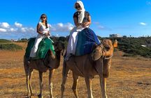 camel rights in Tangier
