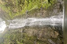 Island of Maui Customized Half Day Tour