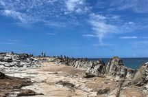 Island of Maui Customized Half Day Tour