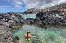 Island of Maui Customized Half Day Tour