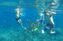Nusa Penida One Day West Trip with All Inclusive Tour