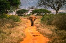 2 Days Tsavo East and West Safari Wildlife Scenic Tour
