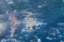 Pula: Your Custom Full-Day Private Sail - Explore Istria's Gems