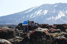 6 days Kilimanjaro Ascent via the Scenic Machame Route