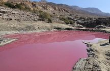 Dead Sea Pink Lake and Salt Beach Private Tour