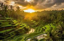 Hidden Bali Waterfalls And Scenic Rice Terrace With Lunch 