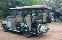 Hluhluwe-iMfolozi Park - Private Group Half Day Safari