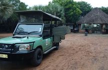 Hluhluwe-iMfolozi Park - Private Group Half Day Safari