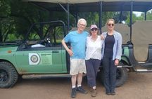 Hluhluwe-iMfolozi Park - Private Group Half Day Safari