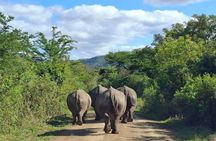Hluhluwe-iMfolozi Park - Big 5 Full Day Safari