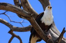 3-Day Arba Minch and the Rift Valley Lakes