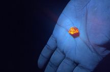 Night time fluorescent Rockhounding Tour