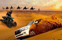 Doha : Quad Bike Desert Safari With Sandboarding & camel ride