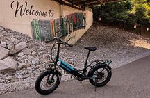 Electric Bike Tour in Cleveland