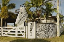 Guided Hike with Miniature Donkeys to a Secluded Beach