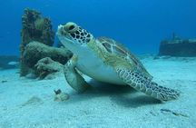 Brewers Bay Beach and Snorkel Adventure 