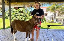 Guided Hike with Miniature Donkeys to a Secluded Beach