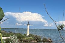 Montpellier Guided Ride in Little Camargue by Electric Bike