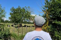 Montpellier Guided Ride in Little Camargue by Electric Bike