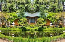 Three Hour Garden Tour