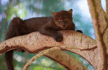 Natuwa Wildlife and Conservation Sanctuary