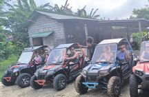 30 minutes Buggy Car drive at the beach