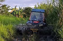 30 minutes Buggy Car drive at the beach
