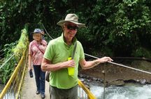Mindo Cloudforest Full Day Private Tour Transportation from Quito