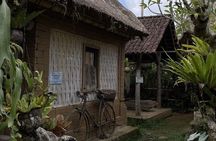 Private Ubud Cultural And Natural Highlights All Inclusive Tour 