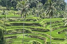 Private Ubud Cultural And Natural Highlights All Inclusive Tour 