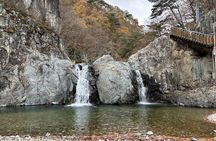 Pohang And Gyeongju Hiking And Makgeolli Brewing