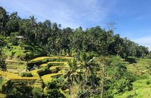 Best of Ubud Tours