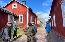 Stones & Slices: Raasepori Castle Ruins, Ekenäs Old Town & Pizza