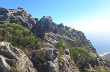 Table Mountain Tour with Cable Car Tickets and Transfers