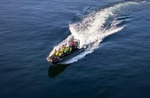 Rib adventure in the Lysefjord