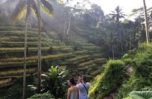 Explore Ubud’s Hidden Treasures