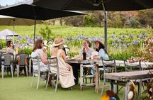Richmond and Wine Tour