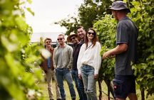 Richmond and Wine Tour