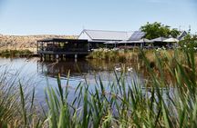 Signature Saturday Wine Tour