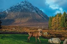 Glencoe and Glen Nevis Private Half Day Tour from Fort William 