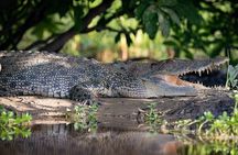Katherine Gorge - Nitmiluk National Park - Full Day Tour