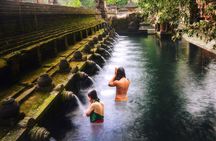 Bali: Amazing Ubud waterfall, Penglipuran village, & Tirta Empul 