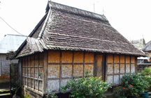 Bali: Amazing Ubud waterfall, Penglipuran village, & Tirta Empul 