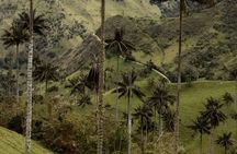 Salento, Cradle of wax palm, Carbonera Hike Tour