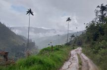 Salento, Cradle of wax palm, Carbonera Hike Tour